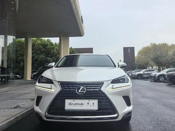 2018 Lexus NX 300 Front-wheel Drive Fengxing Edition